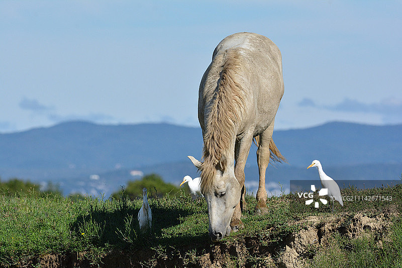 下面有什么？图片素材