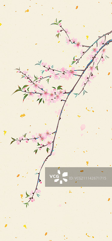 花月令，十二月花卉图片素材