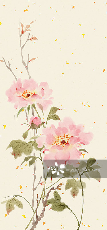 花月令，十二月花卉图片素材