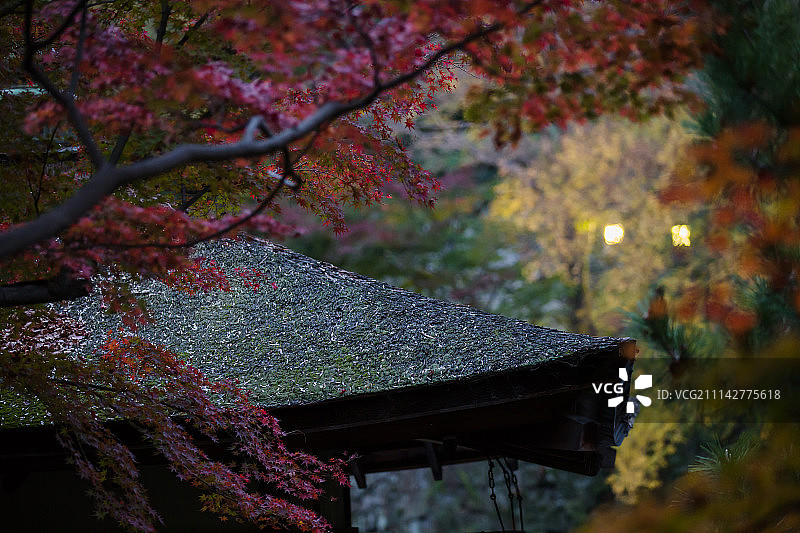 红叶溪庭院图片素材