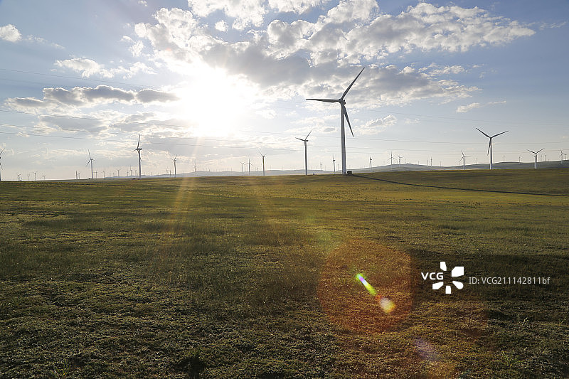 草坪阳光风车群图片素材