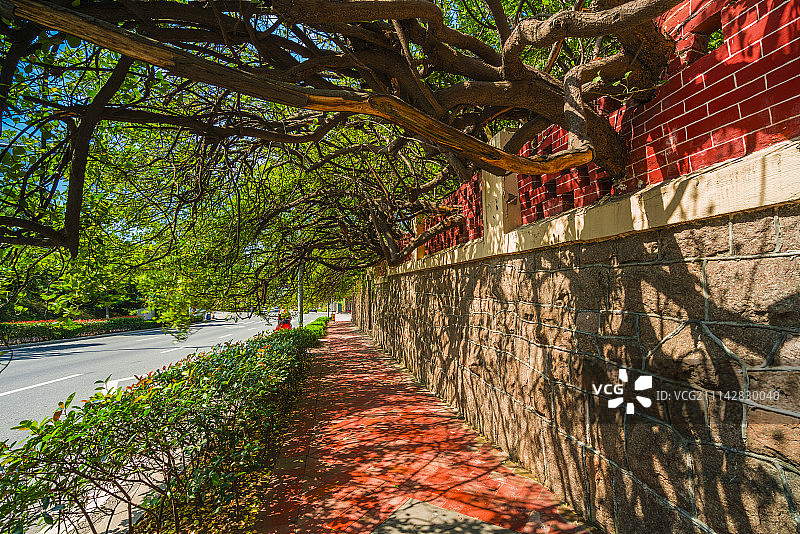 山东青岛八大关图片素材