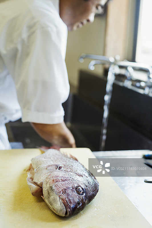 日本寿司店厨房里的厨师，前景是砧板上的新鲜鲷鱼图片素材