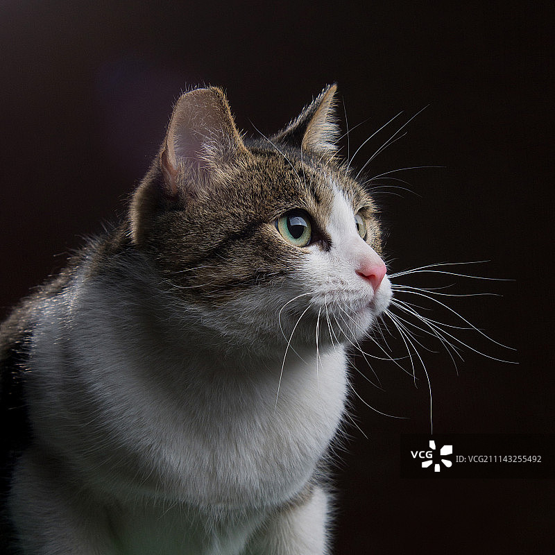 2016年的**第一张**照片图片素材