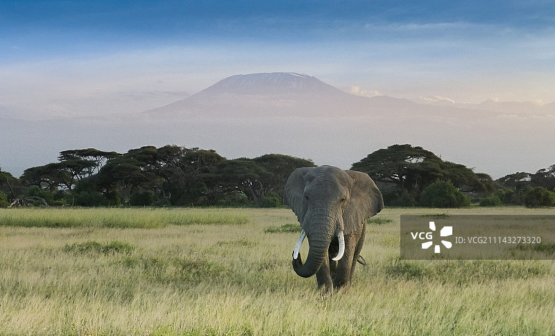 安博塞利日落图片素材