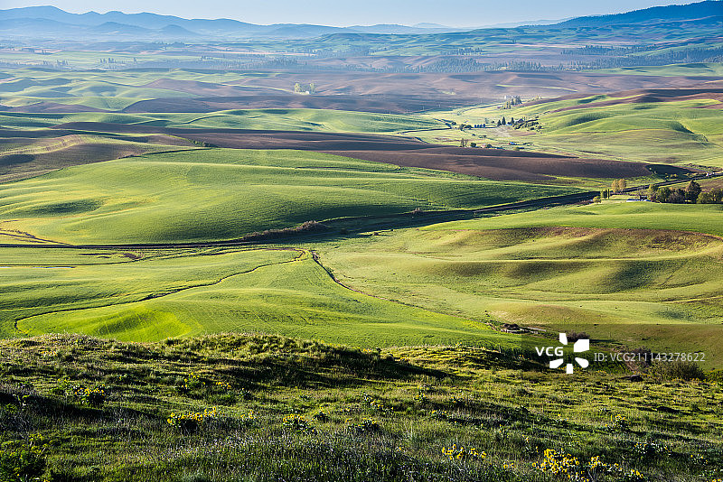 斯蒂普托比尤特的春天早晨图片素材