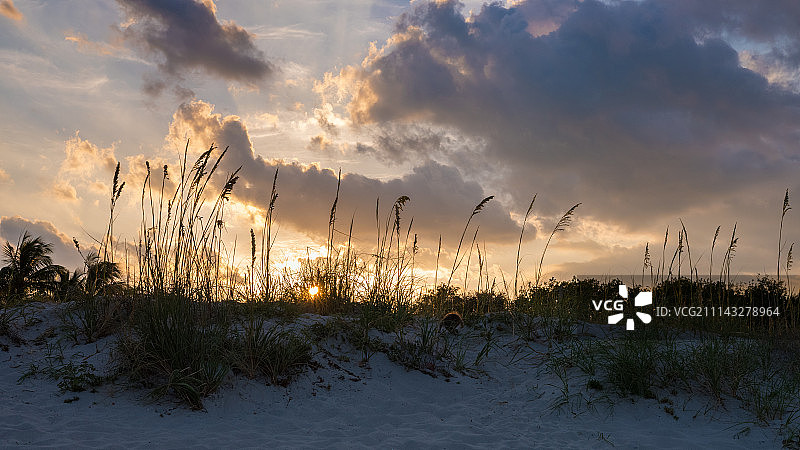 阳光与沙丘图片素材