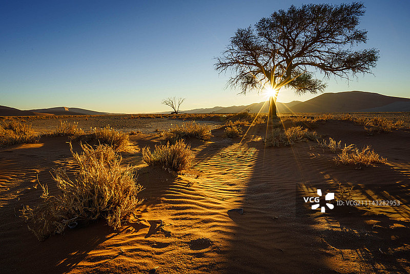 纳米布沙漠图片素材