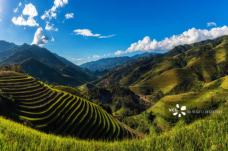 慕耕寨梯田稻田全景景观图片素材