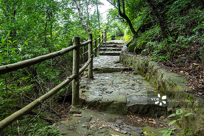 密林间的台阶图片素材
