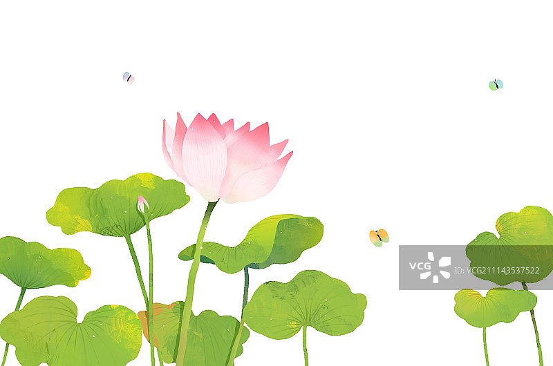 书法，佛诞节，莲花图片素材