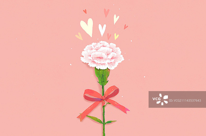 康乃馨丝带母亲节背景图片素材