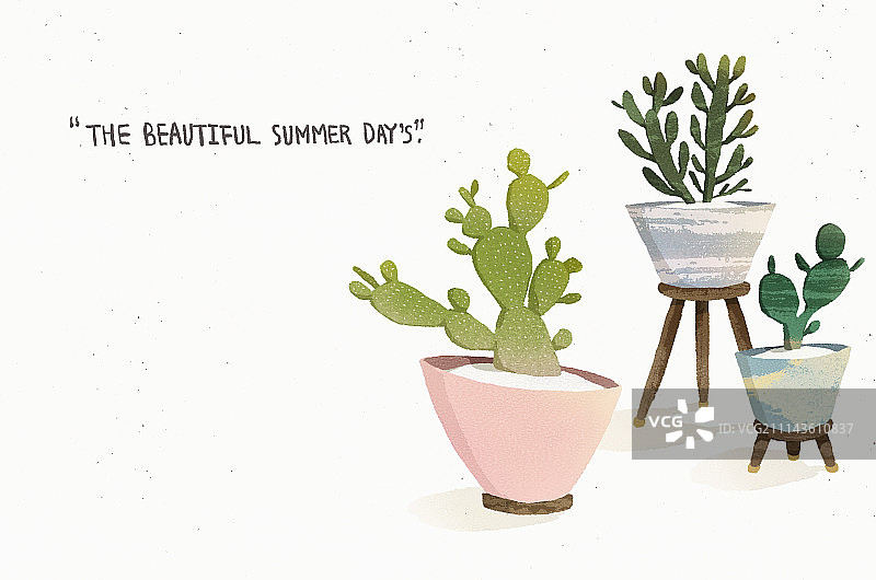 仙人掌、多肉植物、书法、花盆图片素材