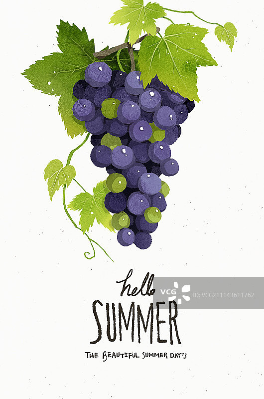 水彩葡萄书法图片素材