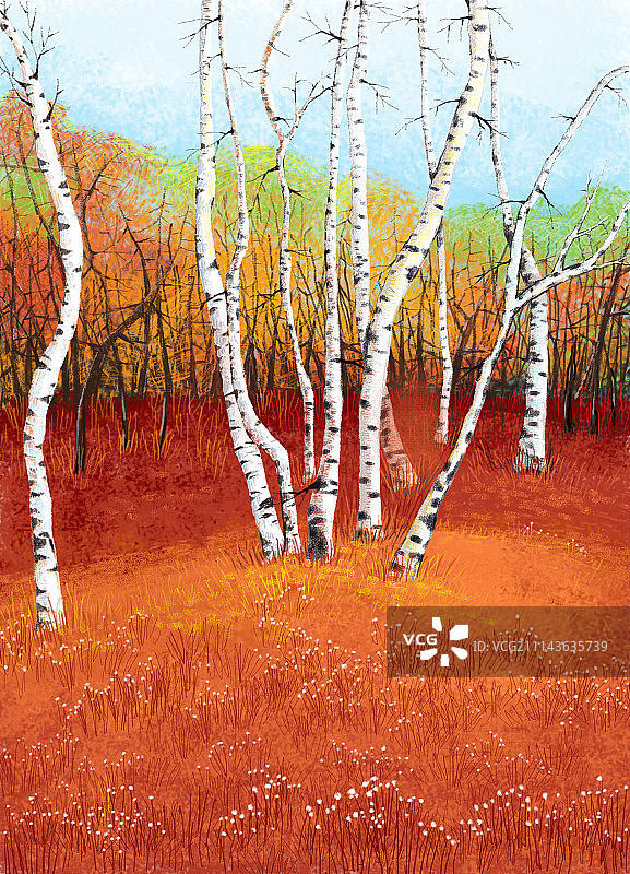 背景唯美插画系列[500幅]-深秋的白桦林图片素材