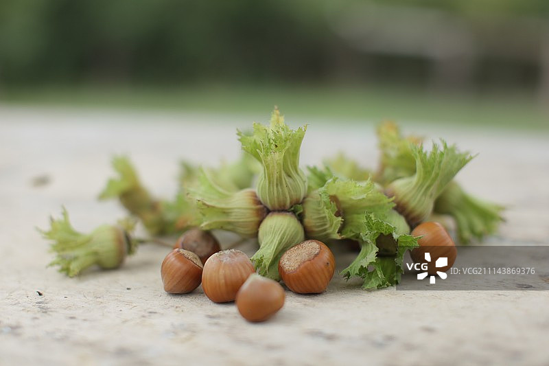 木桌上的榛子图片素材