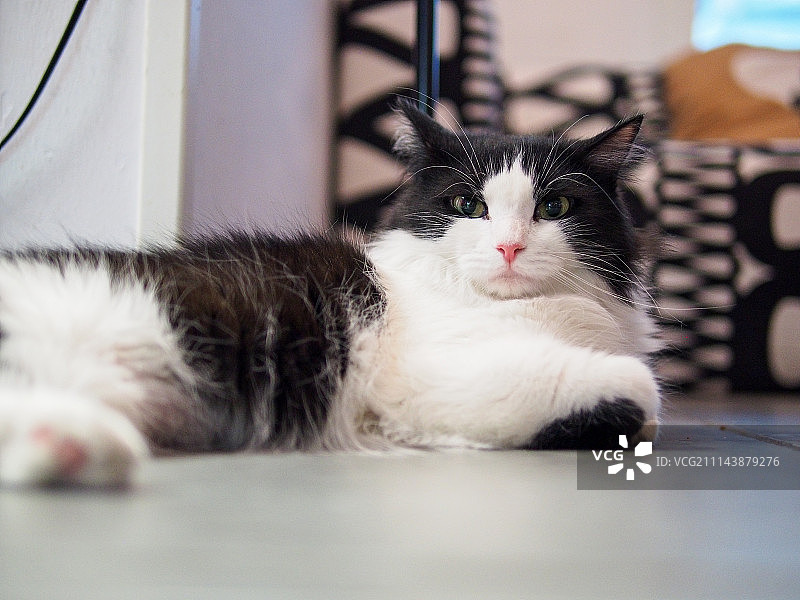 马德里图片素材