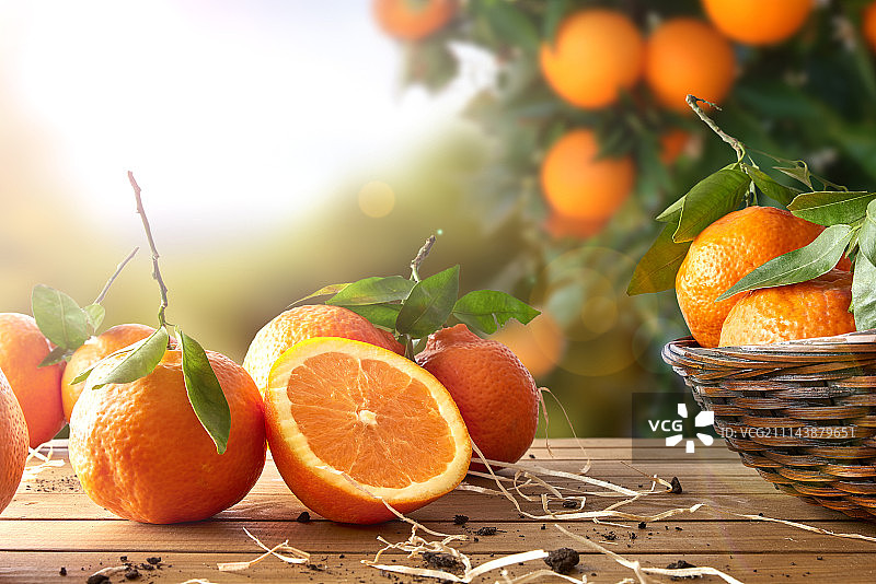 田野中篮子和木桌上的一组橘子图片素材