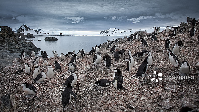 半月岛 - 4837图片素材