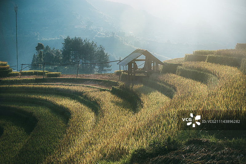 越南木江界水稻梯田图片素材