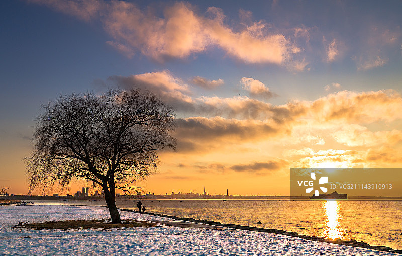 冬日暖阳图片素材