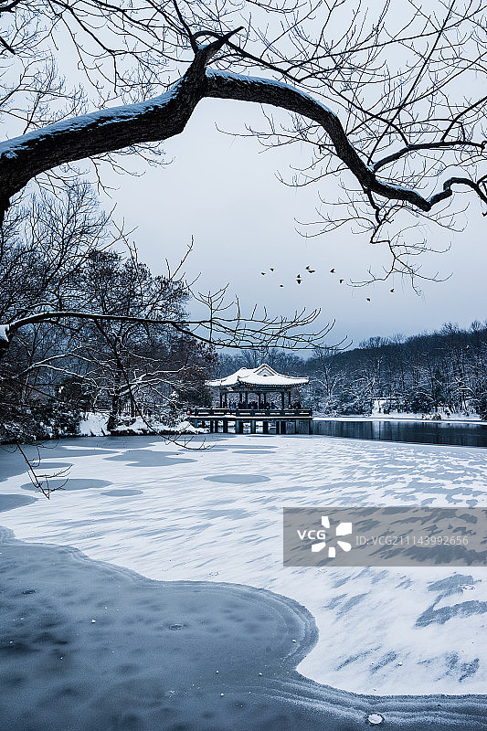 雪后流徽谢图片素材