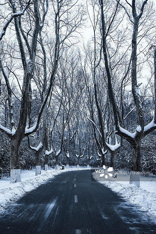 雪后道路图片素材