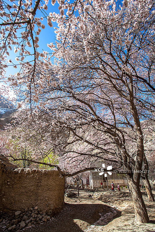 阿勒玛勒克图片素材