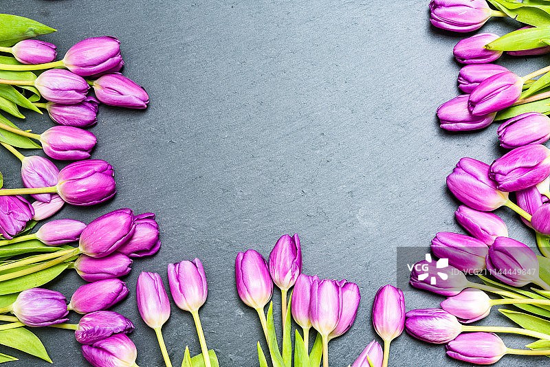 灰色背景上的周年纪念粉色郁金香平铺图片素材