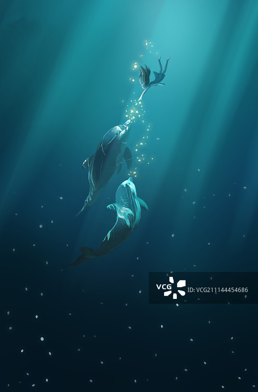 海豚与孩子图片素材