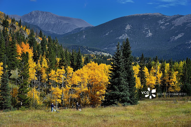 自然绘画图片素材