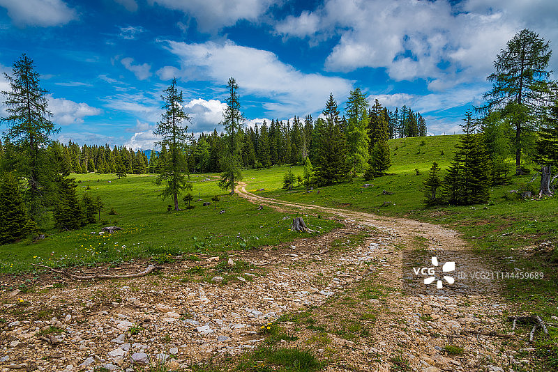 夏季色彩图片素材