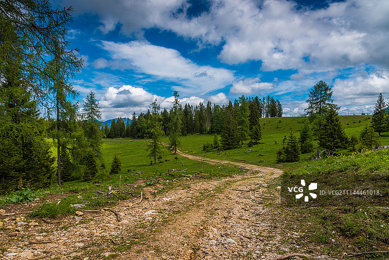 难忘的漫步图片素材