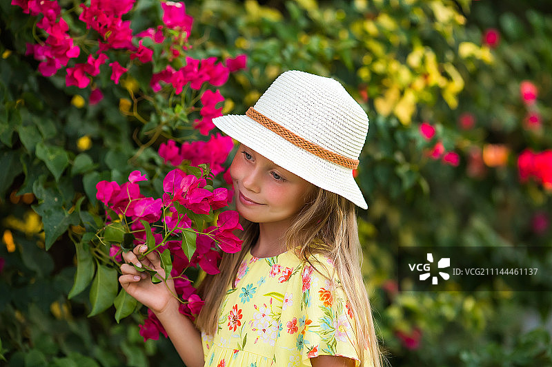 鲜花的明亮色彩图片素材