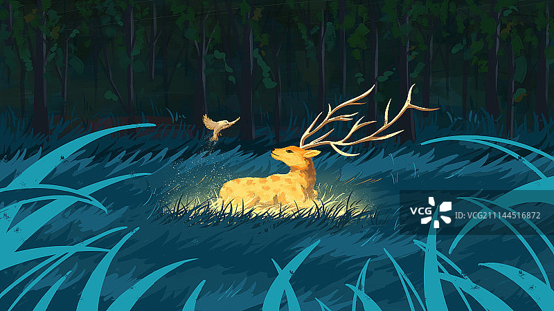 鸟与麓图片素材