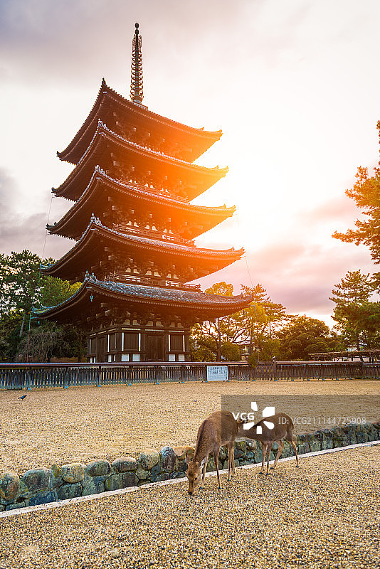 日本奈良兴福寺图片素材