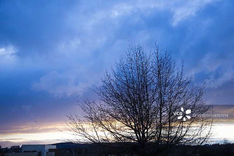 彩霞,波特兰,美国图片素材