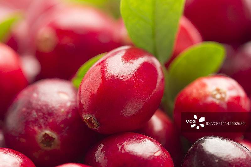 水果,蔓越莓图片素材