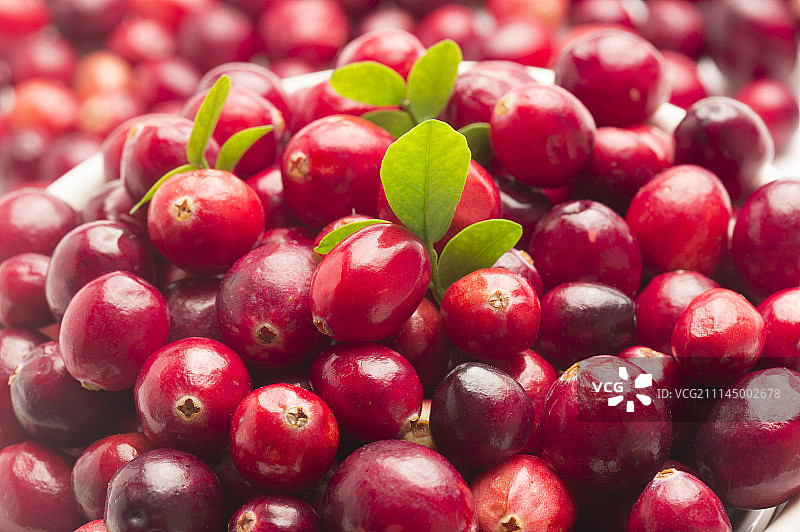 水果,蔓越莓图片素材