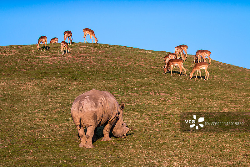 独自一人图片素材