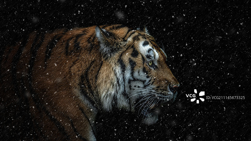 下雪吧！图片素材