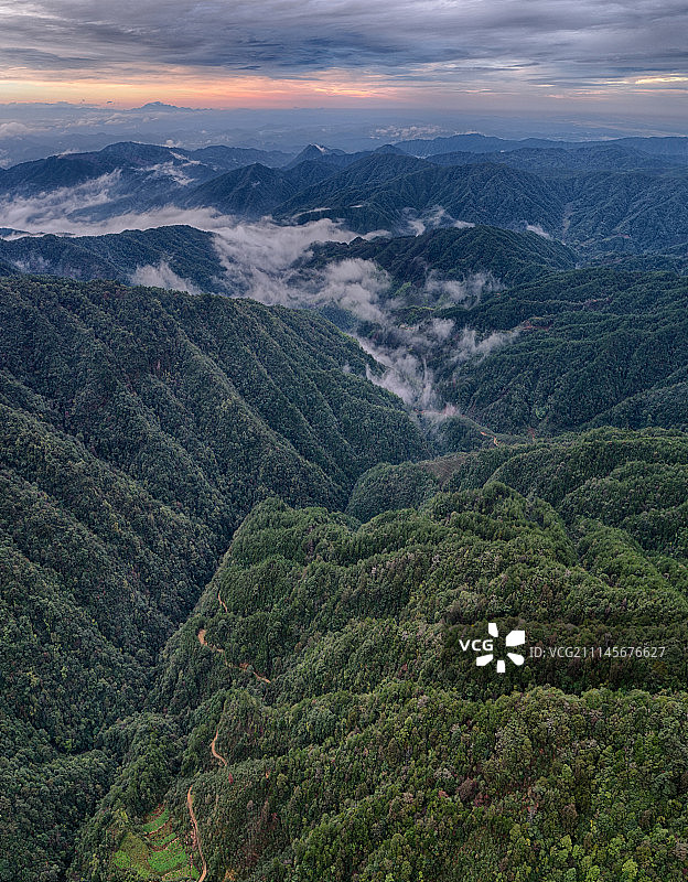 浙江开化古田山国家自然保护区图片素材