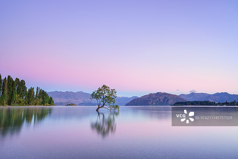 新西兰南岛瓦纳卡孤树日出图片素材