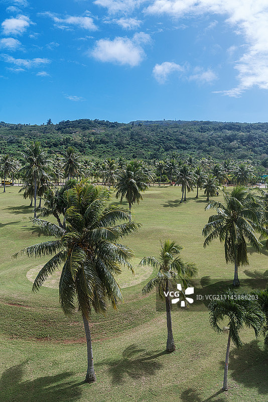 热带绿洲图片素材