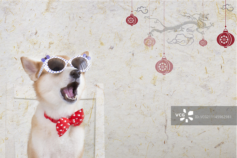 狗年,新年,春节图片素材