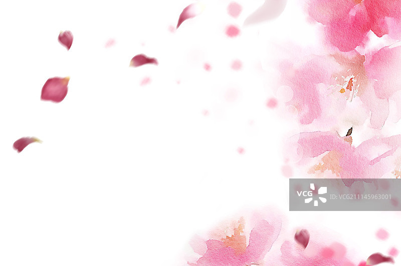 春分,春天图片素材