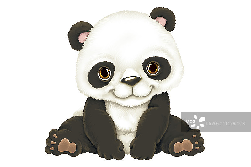 插画,熊猫,幼兽图片素材