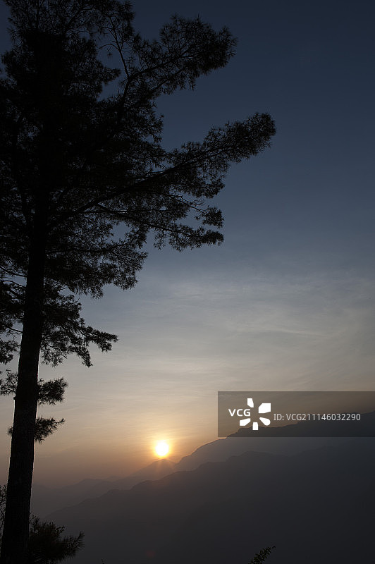 阿里山风景区,阿里山,嘉义,台湾,亚洲,日出,太阳图片素材