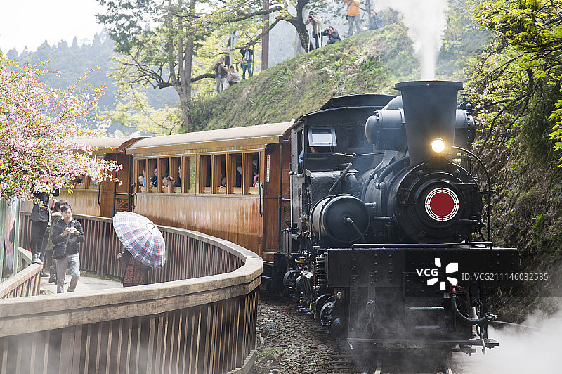 阿里山风景区,阿里山,嘉义,台湾,亚洲,火车图片素材
