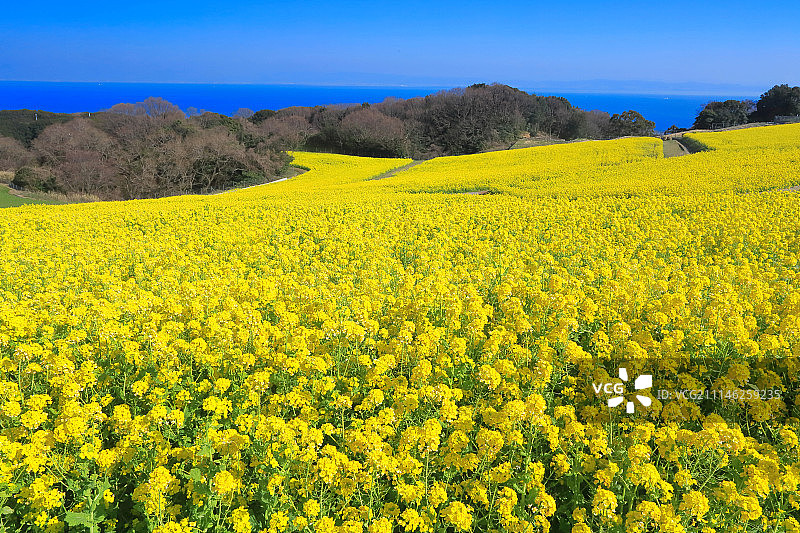 日本兵库县图片素材